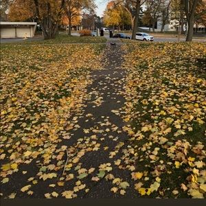 Meet your Posher, Michael